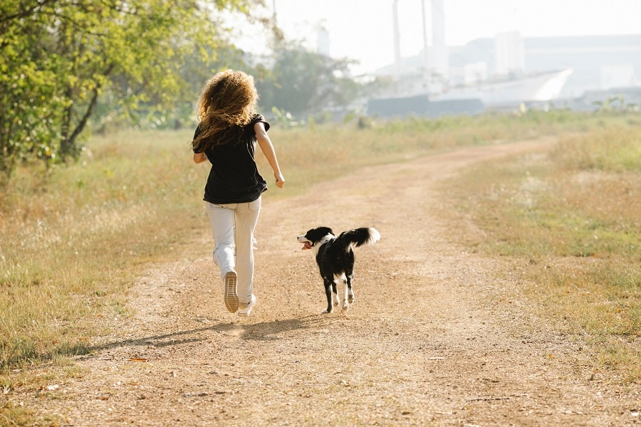 correre con il cane - benessere