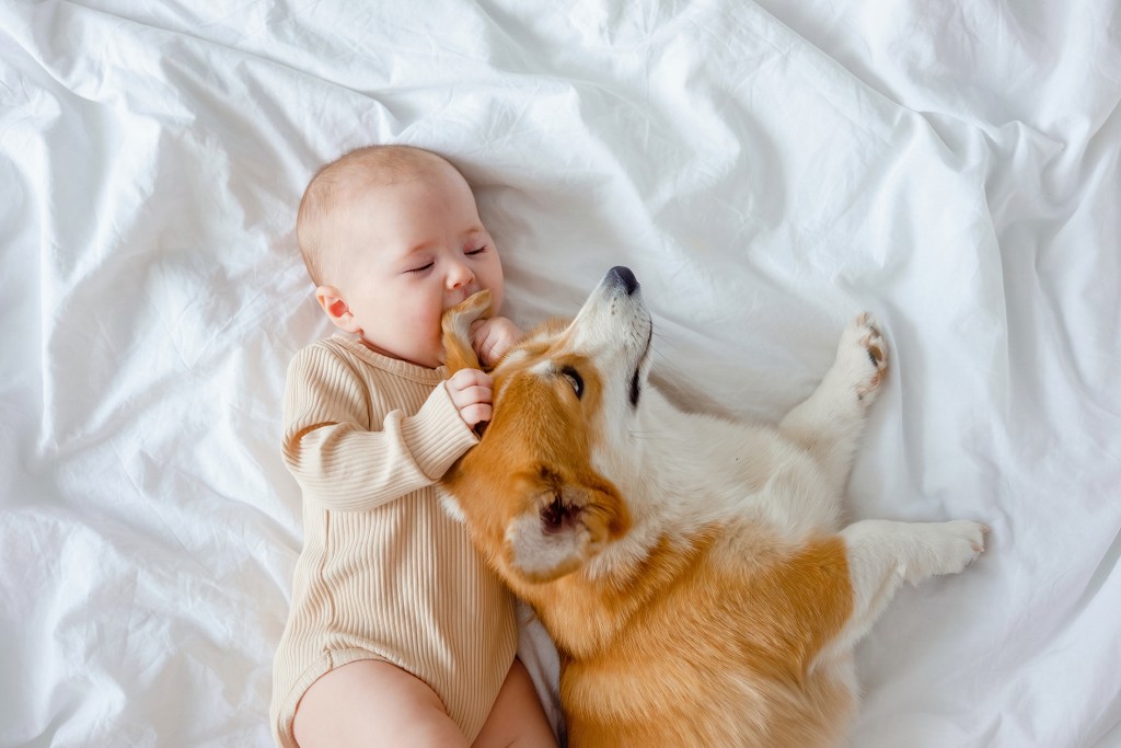 neonato che gioca con cane