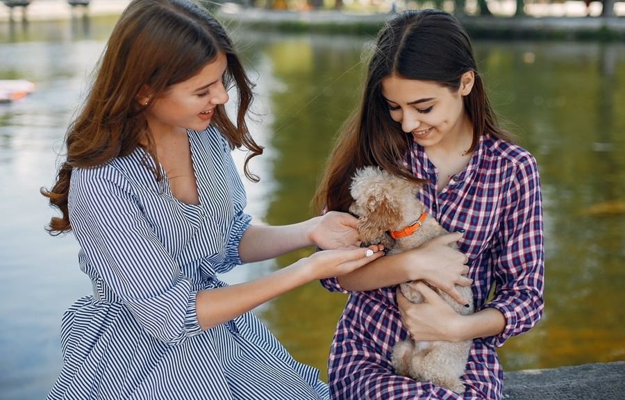 amiche con un cane in braccio