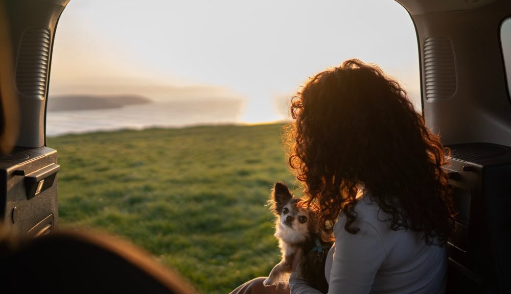 Vacanze all’Isola d’Elba con il cane