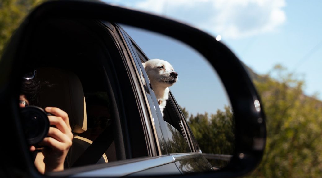 Famiglia in auto con il cane in braccio alla mamma durante un viaggio